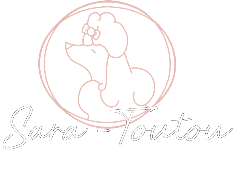 SARA - TOUTOU / BOUTIQUE ET TOILETTAGE ENR.
