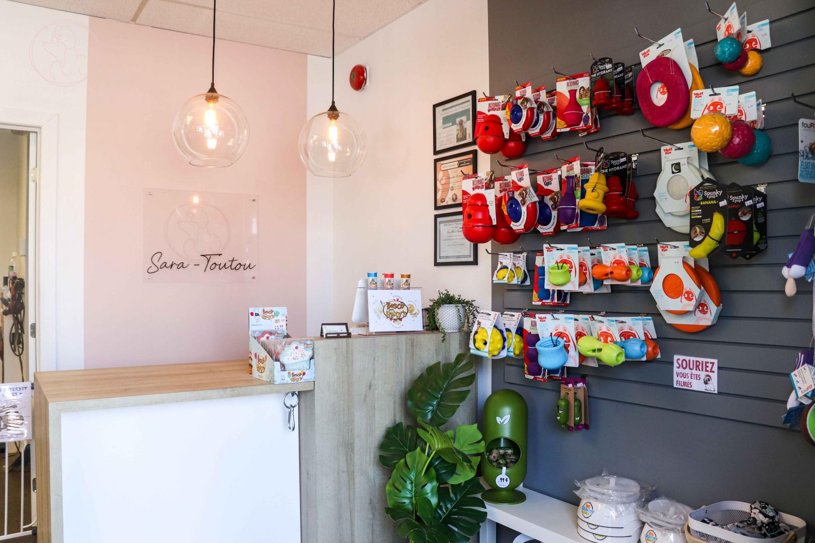 Boutique pour chien Sherbrooke Magog Orford
