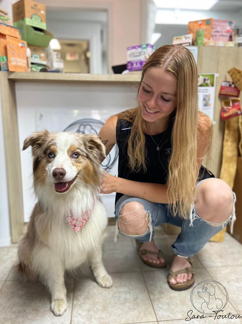 Toilettage pour chien Sherbrooke