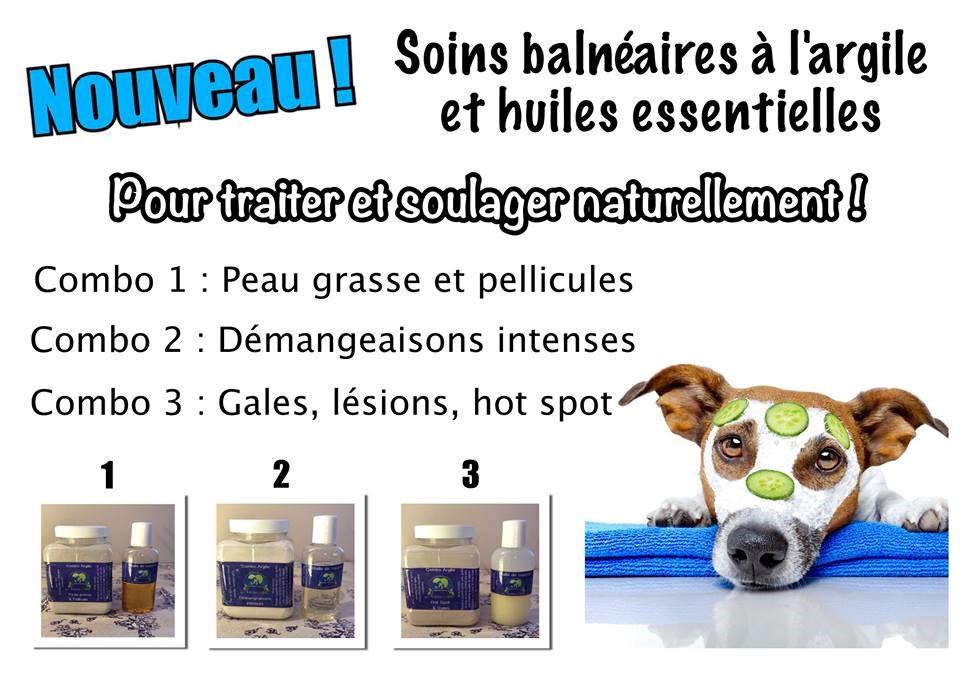 Traitements speciaux pour chien Sherbrooke Magog Orford