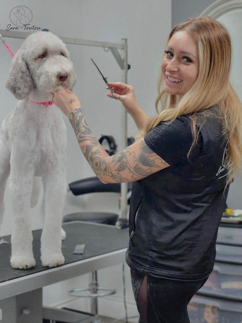 Toilettage pour chien Magog